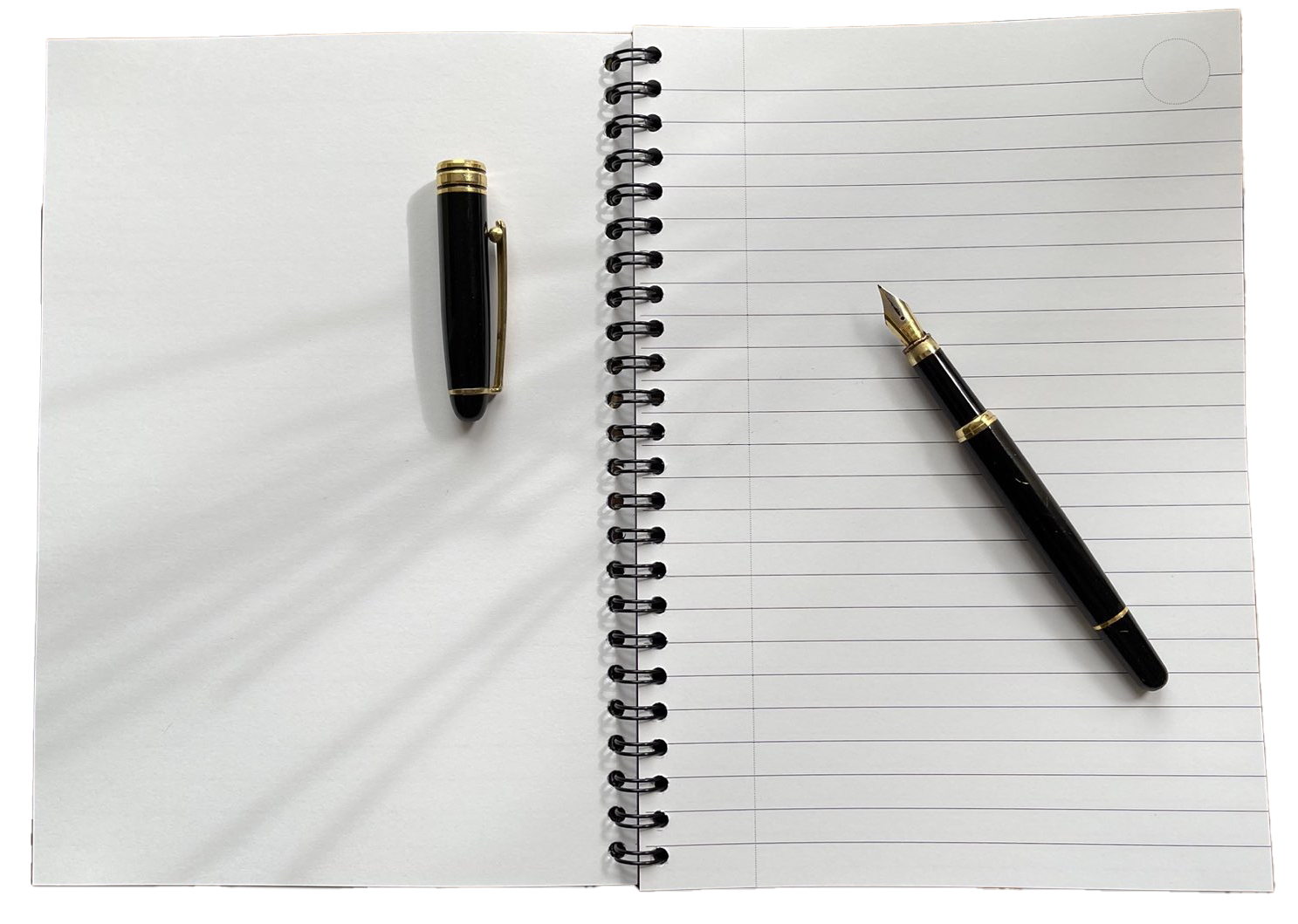 Journal - Bloom where you are planted - Afbeelding 3