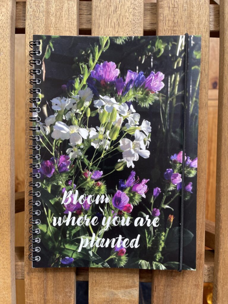 journal_wordsoflife-28